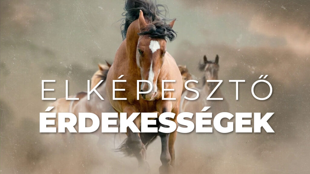 Elképesztő érdekességek