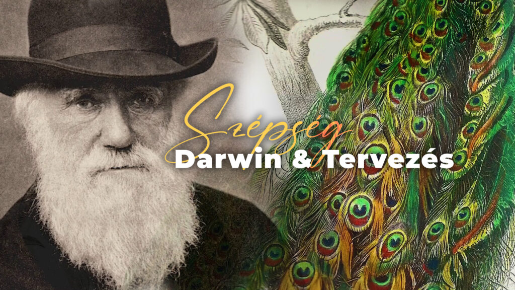 Szépség, Darwin & Tervezés